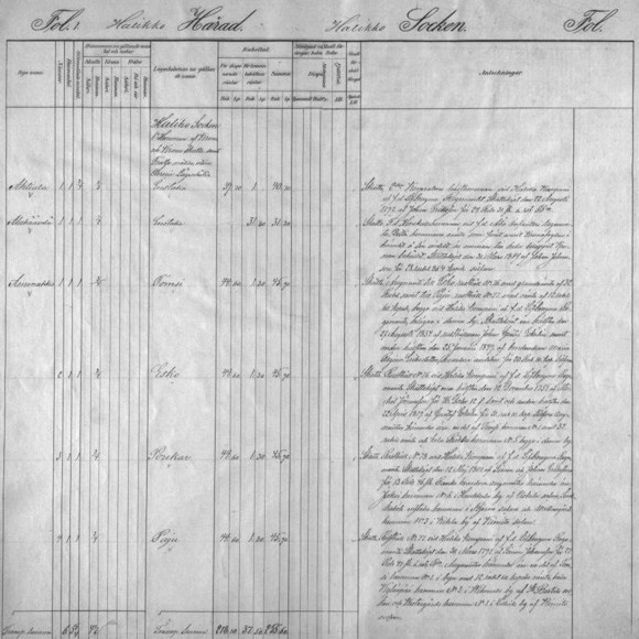 Maakirja v:lta 1875, Halikon Ammakon kylää